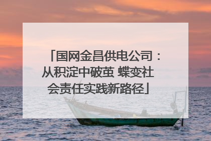 国网金昌供电公司：从积淀中破茧 蝶变社会责任实践新路径