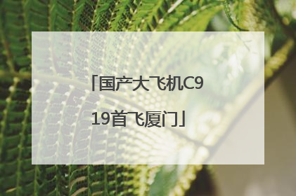 国产大飞机C919首飞厦门