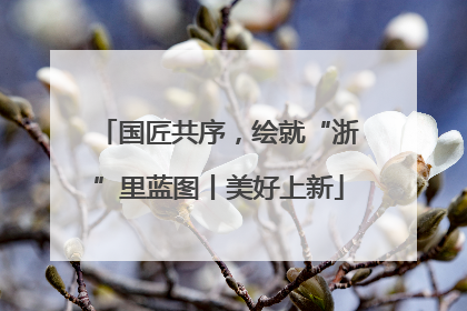 国匠共序，绘就“浙”里蓝图丨美好上新