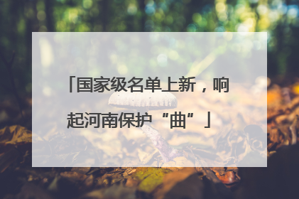 国家级名单上新，响起河南保护“曲”