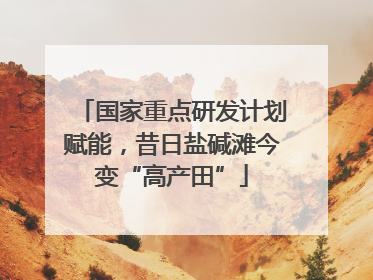 国家重点研发计划赋能，昔日盐碱滩今变“高产田”