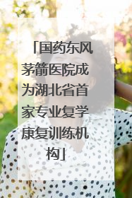 国药东风茅箭医院成为湖北省首家专业复学康复训练机构