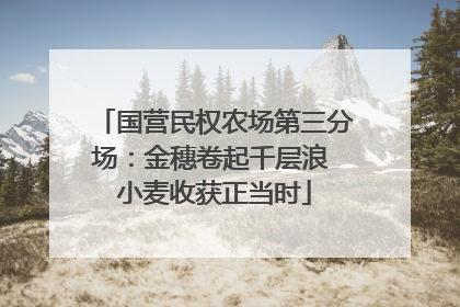 国营民权农场第三分场：金穗卷起千层浪 小麦收获正当时