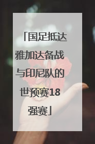 国足抵达雅加达备战与印尼队的世预赛18强赛