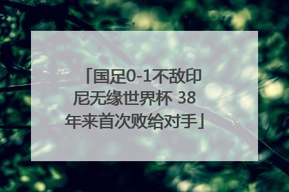 国足0-1不敌印尼无缘世界杯 38年来首次败给对手