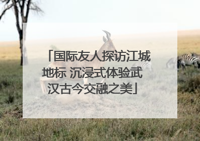 国际友人探访江城地标 沉浸式体验武汉古今交融之美