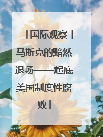 国际观察丨马斯克的黯然退场——起底美国制度性腐败