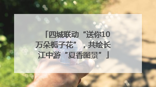 四城联动“送你10万朵栀子花”，共绘长江中游“夏香图景”