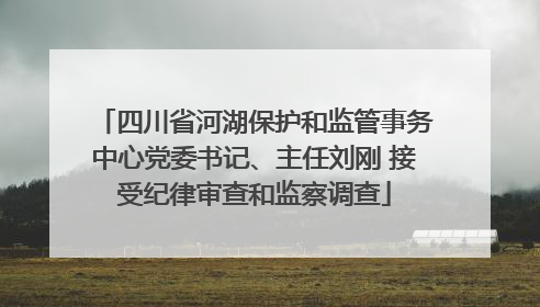 四川省河湖保护和监管事务中心党委书记、主任刘刚 接受纪律审查和监察调查