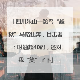 四川乐山一鸵鸟“越狱”马路狂奔，目击者：时速超40码，还对我“笑”了下