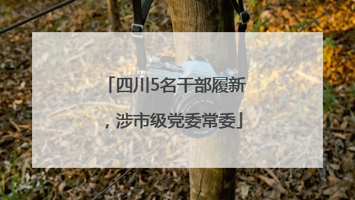 四川5名干部履新，涉市级党委常委