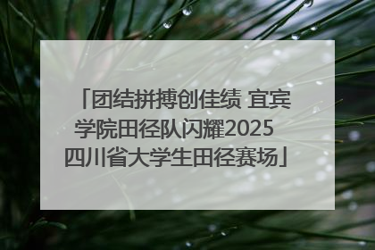 团结拼搏创佳绩 宜宾学院田径队闪耀2025四川省大学生田径赛场