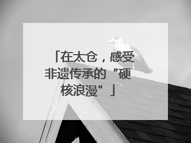 在太仓，感受非遗传承的“硬核浪漫”