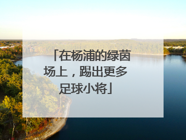 在杨浦的绿茵场上，踢出更多足球小将