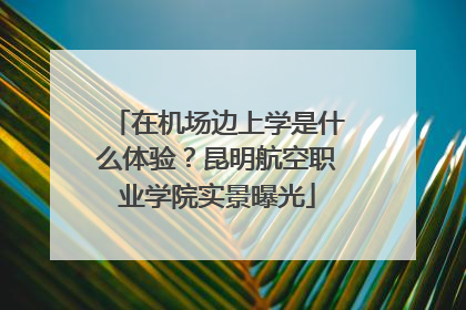 在机场边上学是什么体验？昆明航空职业学院实景曝光