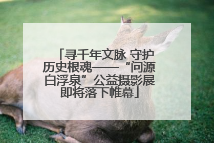 寻千年文脉 守护历史根魂——“问源白浮泉”公益摄影展即将落下帷幕