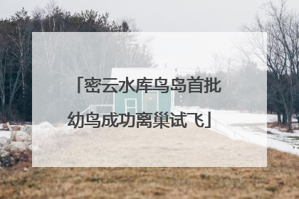 密云水库鸟岛首批幼鸟成功离巢试飞
