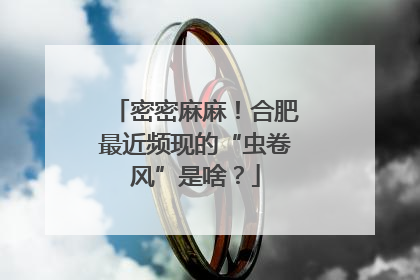 密密麻麻！合肥最近频现的“虫卷风”是啥？