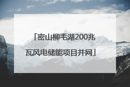密山柳毛湖200兆瓦风电储能项目并网