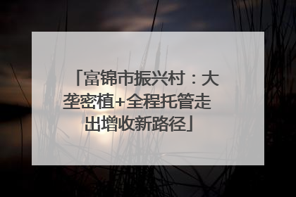 富锦市振兴村：大垄密植+全程托管走出增收新路径