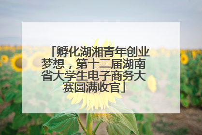 孵化湖湘青年创业梦想，第十二届湖南省大学生电子商务大赛圆满收官