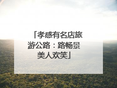 孝感有名店旅游公路：路畅景美人欢笑