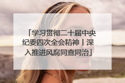 学习贯彻二十届中央纪委四次全会精神丨深入推进风腐同查同治