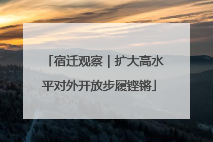 宿迁观察｜扩大高水平对外开放步履铿锵
