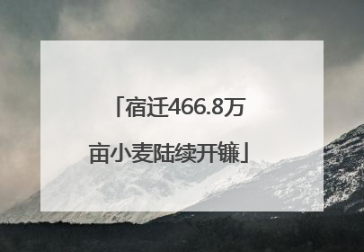 宿迁466.8万亩小麦陆续开镰