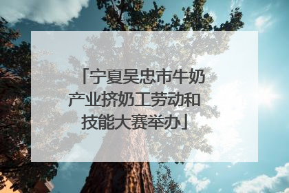 宁夏吴忠市牛奶产业挤奶工劳动和技能大赛举办