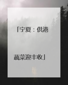 宁夏：供港蔬菜迎丰收