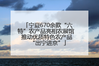 宁夏670余款“六特”农产品亮相农展馆 推动优质特色农产品“出宁进京”