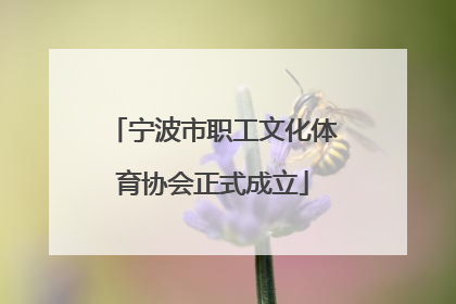 宁波市职工文化体育协会正式成立