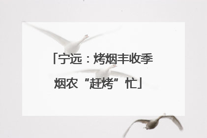 宁远：烤烟丰收季 烟农“赶烤”忙