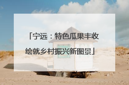 宁远：特色瓜果丰收绘就乡村振兴新图景