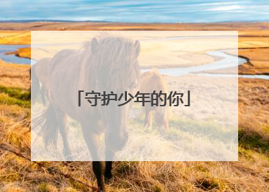 守护少年的你