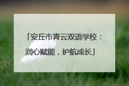 安丘市青云双语学校：润心赋能，护航成长