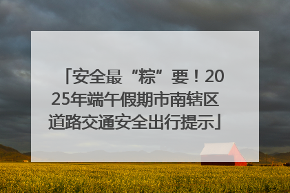 安全最“粽”要！2025年端午假期市南辖区道路交通安全出行提示