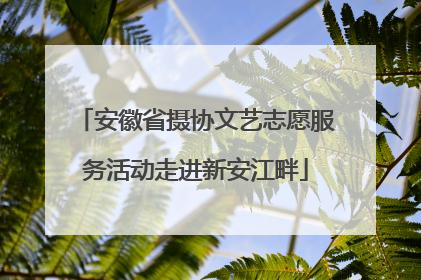 安徽省摄协文艺志愿服务活动走进新安江畔