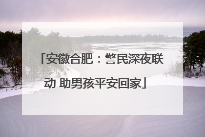 安徽合肥：警民深夜联动 助男孩平安回家