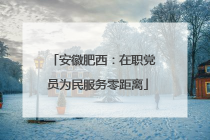 安徽肥西：在职党员为民服务零距离