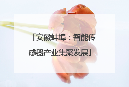 安徽蚌埠：智能传感器产业集聚发展