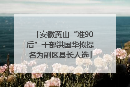 安徽黄山“准90后”干部洪国华拟提名为副区县长人选