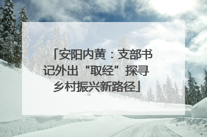安阳内黄：支部书记外出“取经”探寻乡村振兴新路径