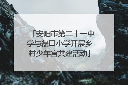 安阳市第二十一中学与磊口小学开展乡村少年宫共建活动