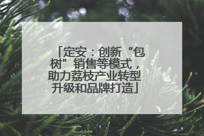 定安：创新“包树”销售等模式，助力荔枝产业转型升级和品牌打造
