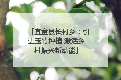 宜章县长村乡：引进玉竹种植 激活乡村振兴新动能