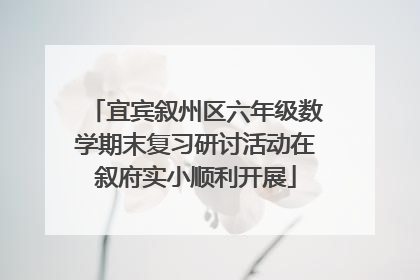 宜宾叙州区六年级数学期末复习研讨活动在叙府实小顺利开展