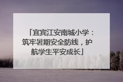 宜宾江安南城小学：筑牢暑期安全防线，护航学生平安成长