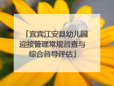 宜宾江安县幼儿园迎接管理常规督查与综合督导评估